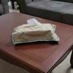 TISSUE BOX WITH EMBROIDRED COVER,,,